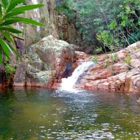 Bellissimo Con Piscina Privata Cardedu